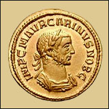 Carinus Aureus.jpg